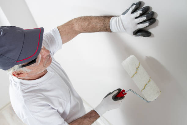 Best Mold Odor Removal Services  in Port Royal, SC
