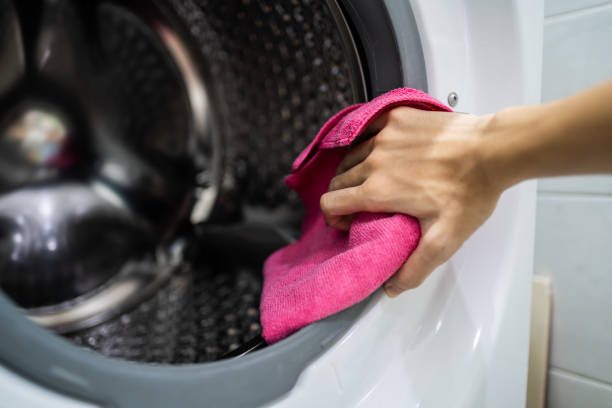 Best Mold Odor Removal Services  in Port Royal, SC