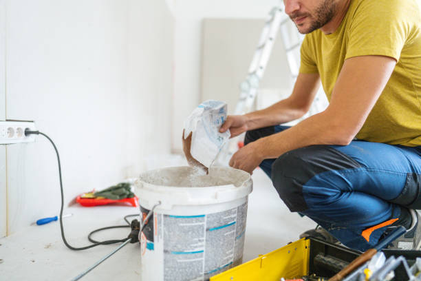 Best Mold Damage Restoration  in Port Royal, SC
