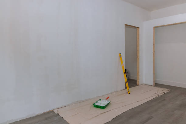 Professional Mold Removal in Port Royal, SC