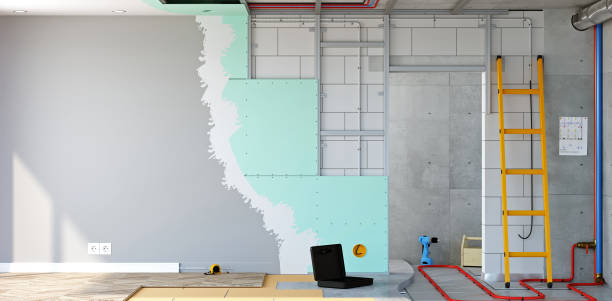 Best Industrial Mold Remediation  in Port Royal, SC