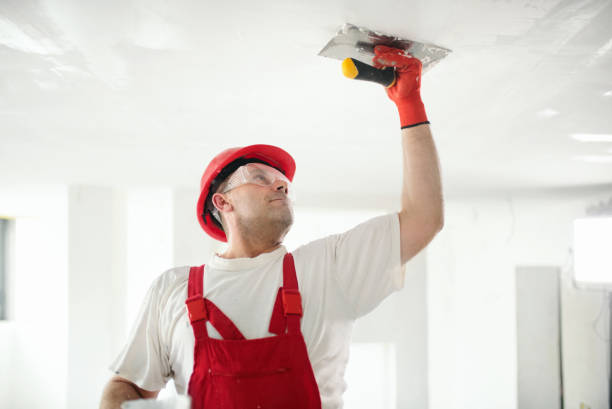 Best Black Mold Removal  in Port Royal, SC