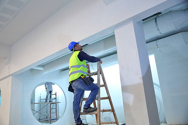  Port Royal, SC Mold Removal Pros