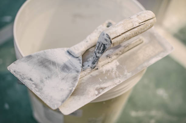 Best Post-Construction Mold Inspection  in Port Royal, SC