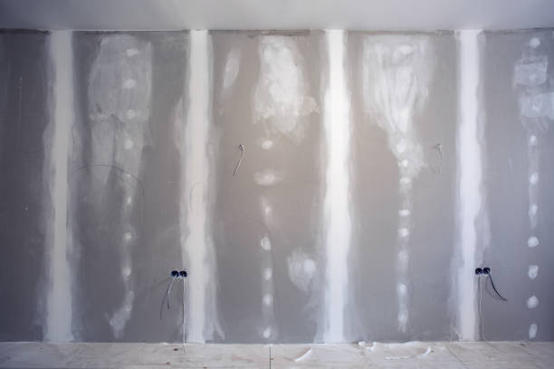 Best Basement Mold Removal  in Port Royal, SC
